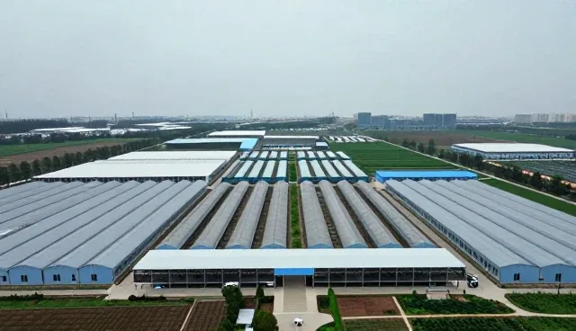 提升采购效率:智能手环定制化方案中的常见问题与应对策略